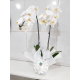 Orquídea Branca C/2 galhos